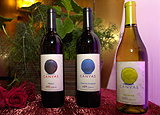 Hyatt's New Canvas Wine